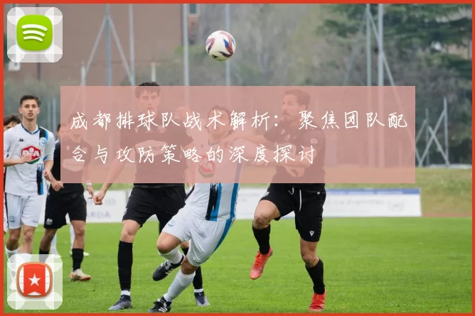 成都排球队战术解析：聚焦团队配合与攻防策略的深度探讨