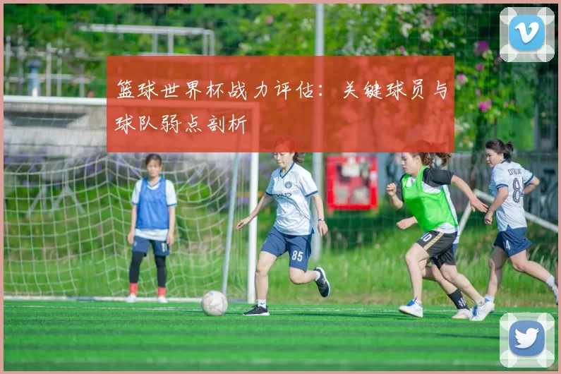 篮球世界杯战力评估：关键球员与球队弱点剖析