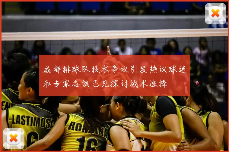 成都排球队技术争议引发热议球迷和专家各执己见探讨战术选择