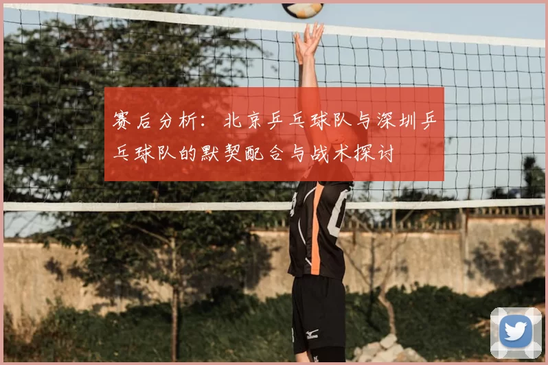 赛后分析:北京乒乓球队与深圳乒乓球队的默契配合与战术探讨