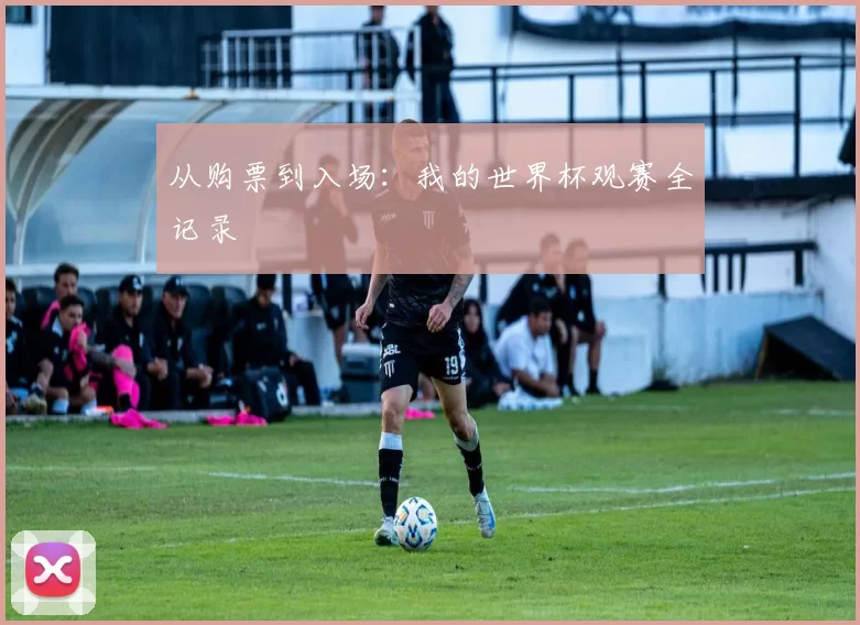 从购票到入场:我的世界杯观赛全记录
